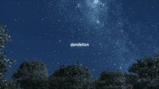 dandelion - Fast Camera Lens Blur | PVSF archive
