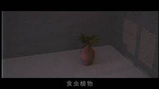 食虫植物/理芽 - RT | PVSF archive