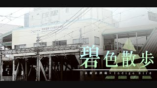 碧色散歩 - 鷺 | PVSF archive