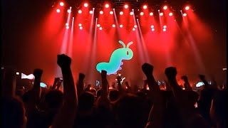幼虫テレビ SPECIAL LIVE 2025 - 幼虫 | PVSF archive